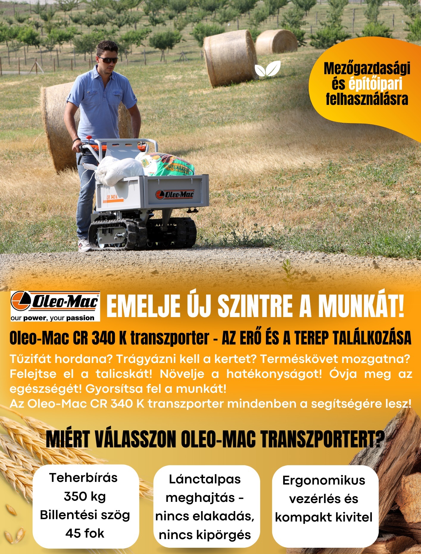 transzporter_grafi.jpg